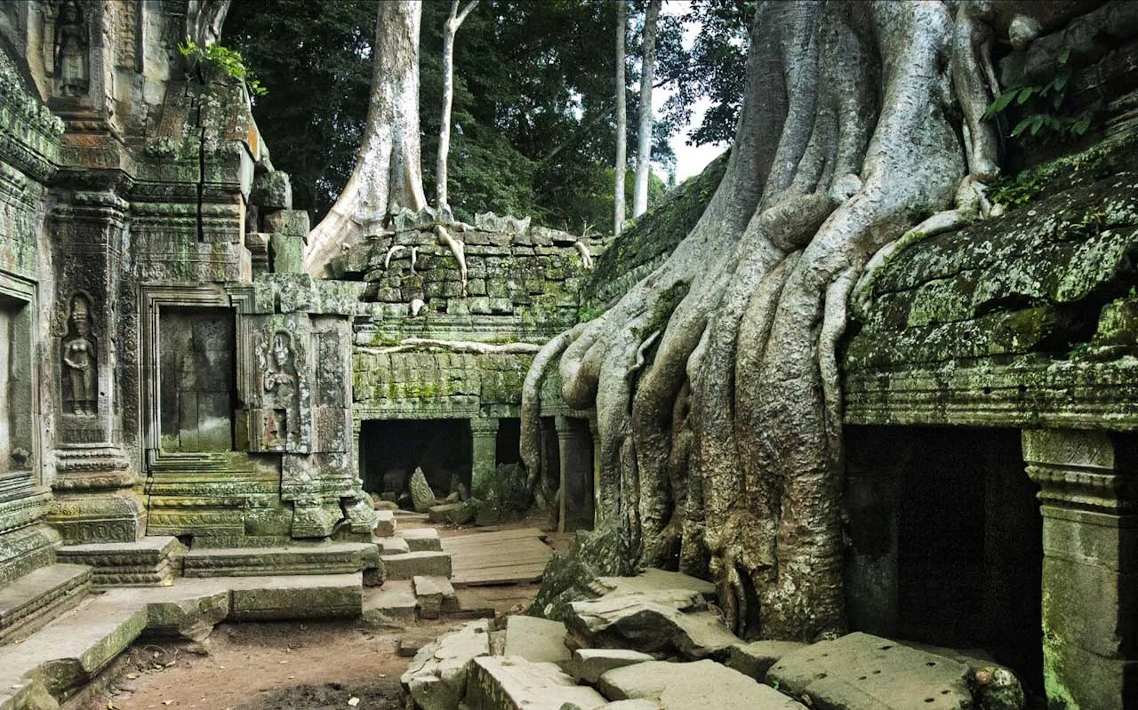 Ta Prohm Temple